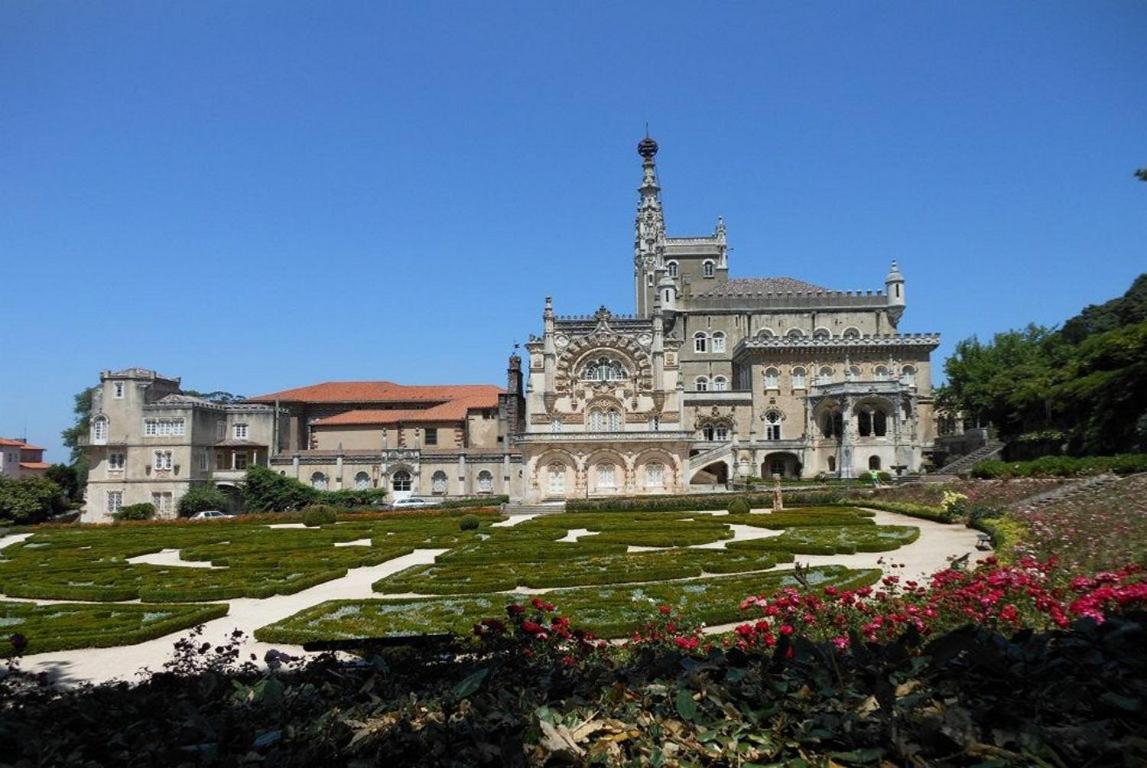 Aparthotel Quinta Das Murteiras Póvoa de Midões Exteriér fotografie